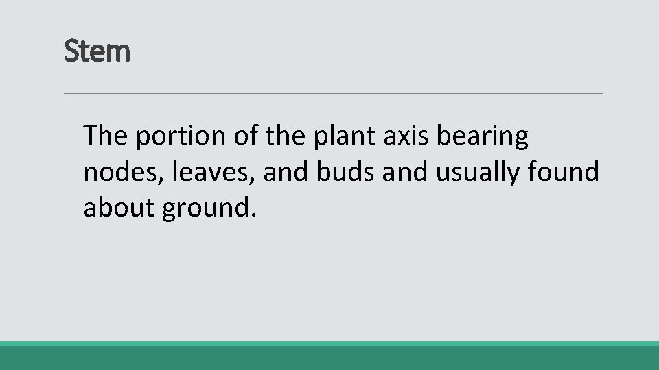 Stem The portion of the plant axis bearing nodes, leaves, and buds and usually