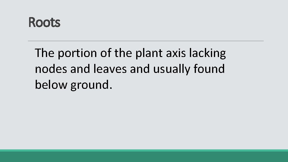 Roots The portion of the plant axis lacking nodes and leaves and usually found