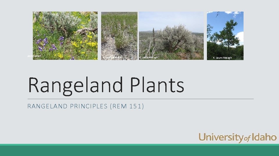 Josh Corbet K. Launchbaugh Rangeland Plants RANGELAND PRINCIPLES (REM 151) K. Launchbaugh 