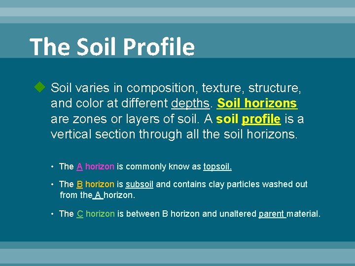 The Soil Profile Soil varies in composition, texture, structure, and color at different depths. The Soil Profile Soil varies in composition, texture, structure, and color at different depths.