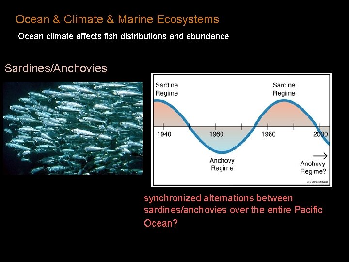Ocean & Climate & Marine Ecosystems Ocean climate affects fish distributions and abundance Sardines/Anchovies Ocean & Climate & Marine Ecosystems Ocean climate affects fish distributions and abundance Sardines/Anchovies