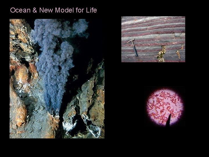 Ocean & New Model for Life Ocean & New Model for Life