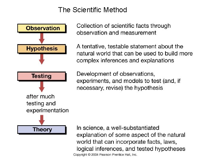 The Scientific Method The Scientific Method