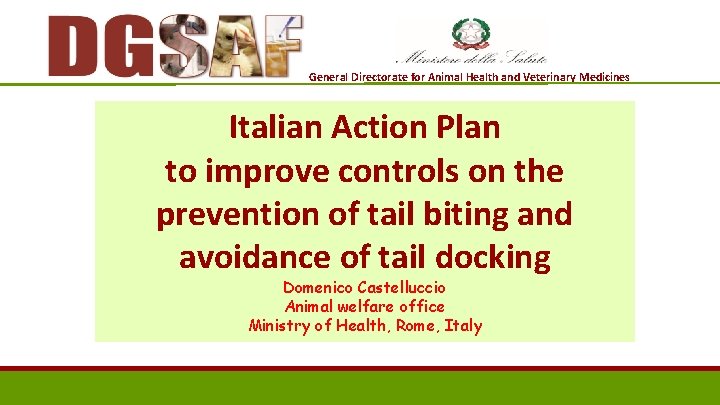 General Directorate for Animal Health and Veterinary Medicines Italian Action Plan to improve controls