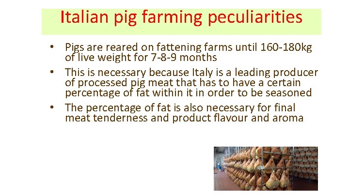 Italian pig farming peculiarities • Pigs are reared on fattening farms until 160 -180