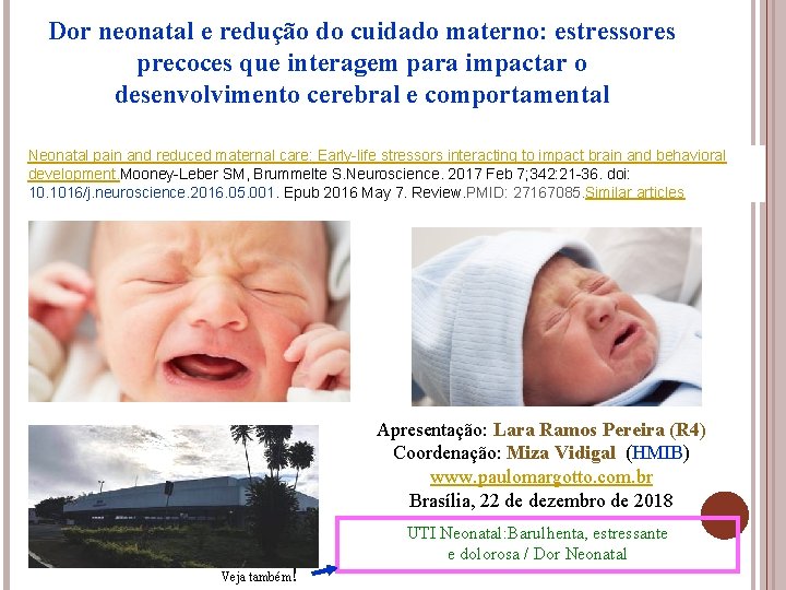 Dor neonatal e redução do cuidado materno: estressores precoces que interagem para impactar o