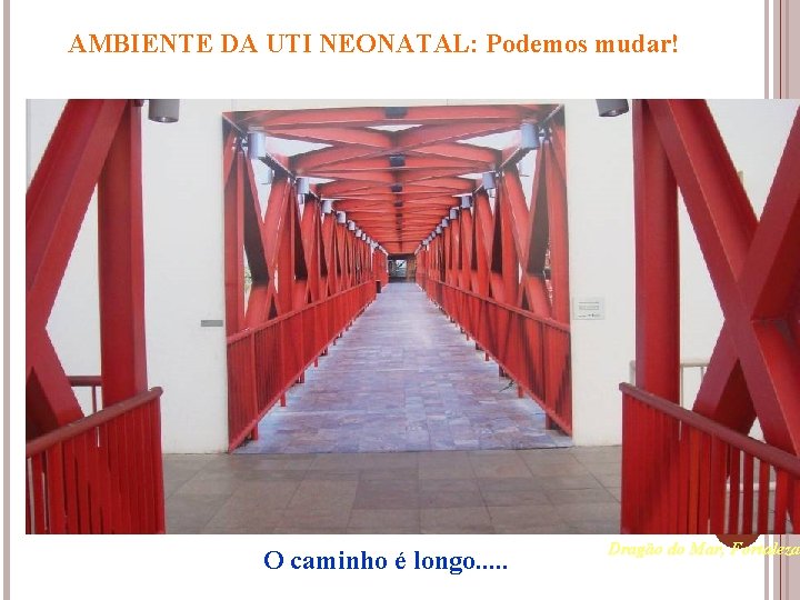 AMBIENTE DA UTI NEONATAL: Podemos mudar! O caminho é longo. . . Dragão do