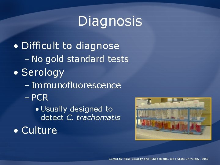 Diagnosis • Difficult to diagnose – No gold standard tests • Serology – Immunofluorescence