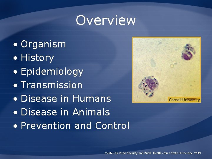 Overview • Organism • History • Epidemiology • Transmission • Disease in Humans • Overview • Organism • History • Epidemiology • Transmission • Disease in Humans •