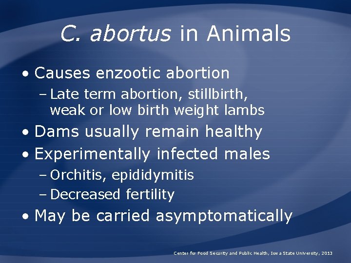 C. abortus in Animals • Causes enzootic abortion – Late term abortion, stillbirth, weak