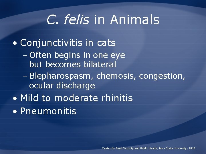 C. felis in Animals • Conjunctivitis in cats – Often begins in one eye