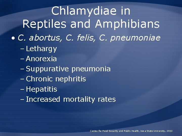 Chlamydiae in Reptiles and Amphibians • C. abortus, C. felis, C. pneumoniae – Lethargy