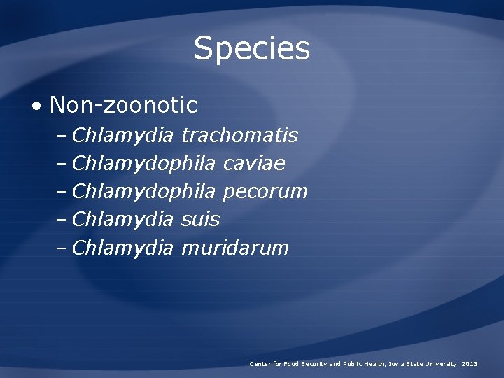 Species • Non-zoonotic – Chlamydia trachomatis – Chlamydophila caviae – Chlamydophila pecorum – Chlamydia