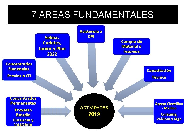 7 AREAS FUNDAMENTALES Selecc. Cadetes, Junior y Plan 2022 Asistencia a CPI Concentrados Nacionales