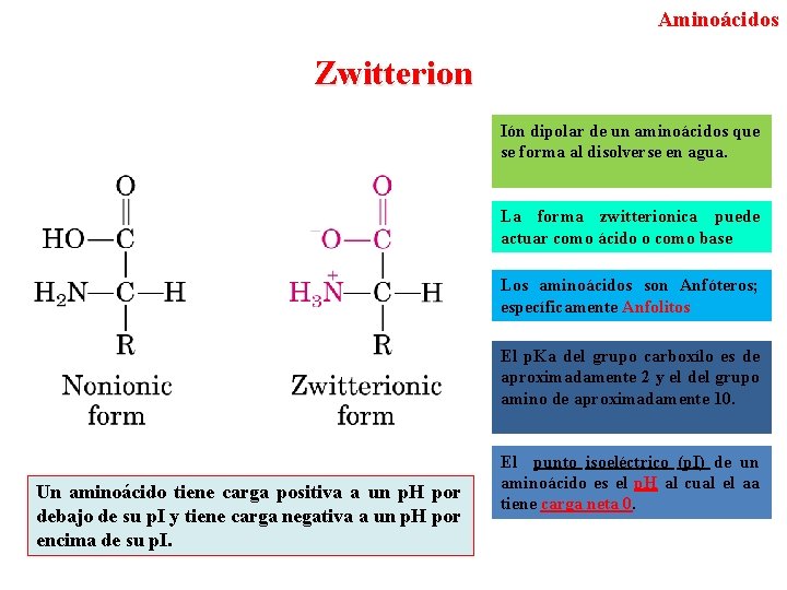 Aminoácidos Zwitterion Ión dipolar de un aminoácidos que se forma al disolverse en agua.