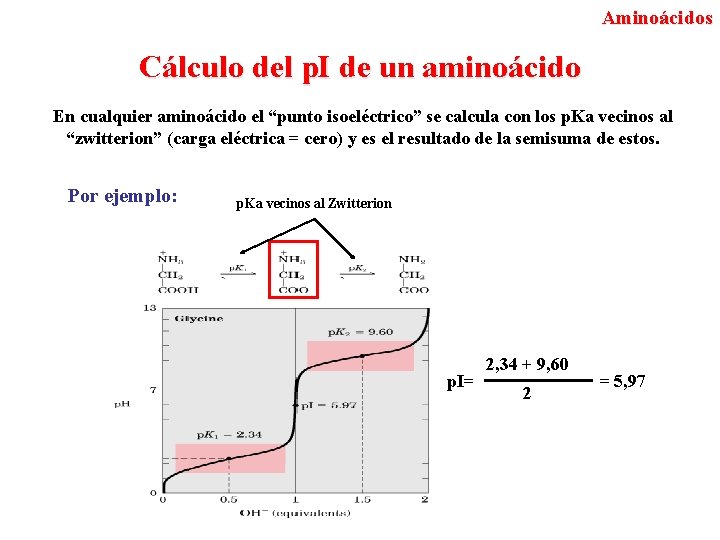 Aminoácidos Cálculo del p. I de un aminoácido En cualquier aminoácido el “punto isoeléctrico”