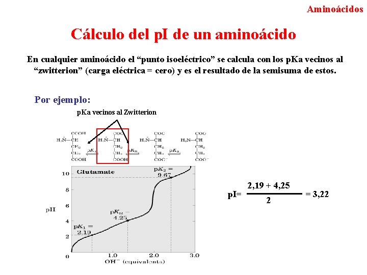 Aminoácidos Cálculo del p. I de un aminoácido En cualquier aminoácido el “punto isoeléctrico”