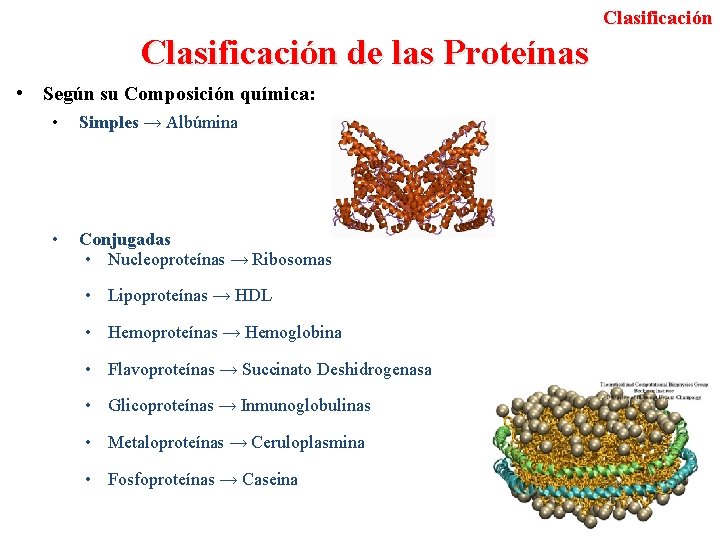 Clasificación de las Proteínas • Según su Composición química: • Simples → Albúmina •