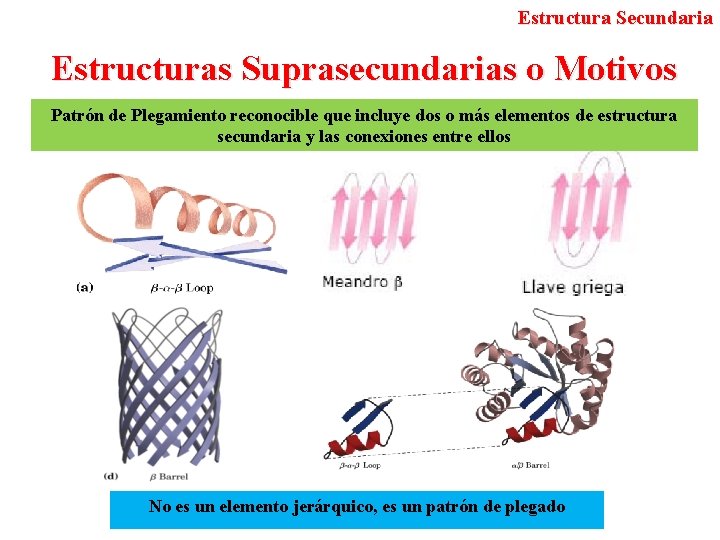 Estructura Secundaria Estructuras Suprasecundarias o Motivos Patrón de Plegamiento reconocible que incluye dos o