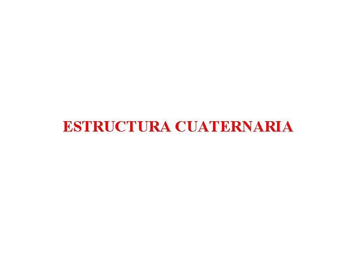 ESTRUCTURA CUATERNARIA 