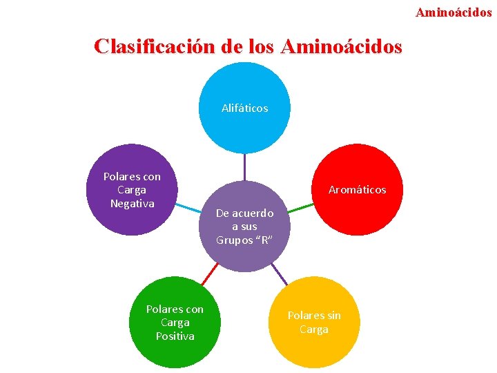 Aminoácidos Clasificación de los Aminoácidos Alifáticos Polares con Carga Negativa Polares con Carga Positiva