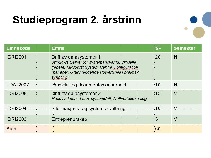 Studieprogram 2. årstrinn 