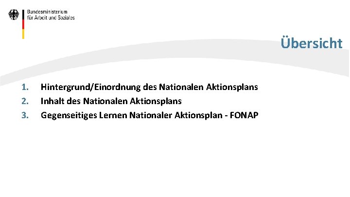 Übersicht 1. 2. 3. Hintergrund/Einordnung des Nationalen Aktionsplans Inhalt des Nationalen Aktionsplans Gegenseitiges Lernen