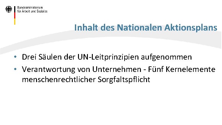 Inhalt des Nationalen Aktionsplans • Drei Säulen der UN-Leitprinzipien aufgenommen • Verantwortung von Unternehmen