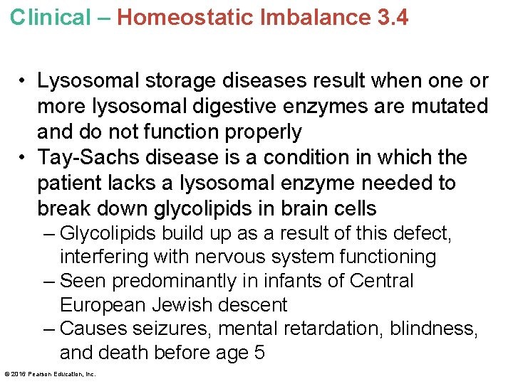 Clinical – Homeostatic Imbalance 3. 4 • Lysosomal storage diseases result when one or