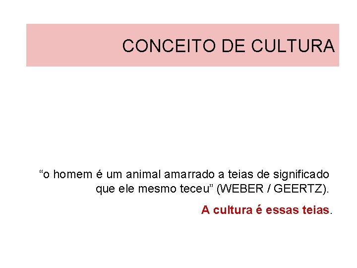 CONCEITO DE CULTURA “o homem é um animal amarrado a teias de significado que