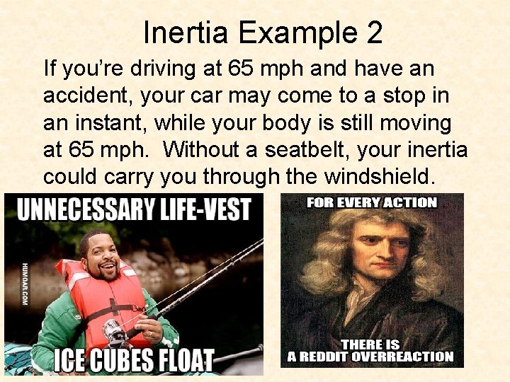 Forces Newtons Laws of Motion Weight Free fall