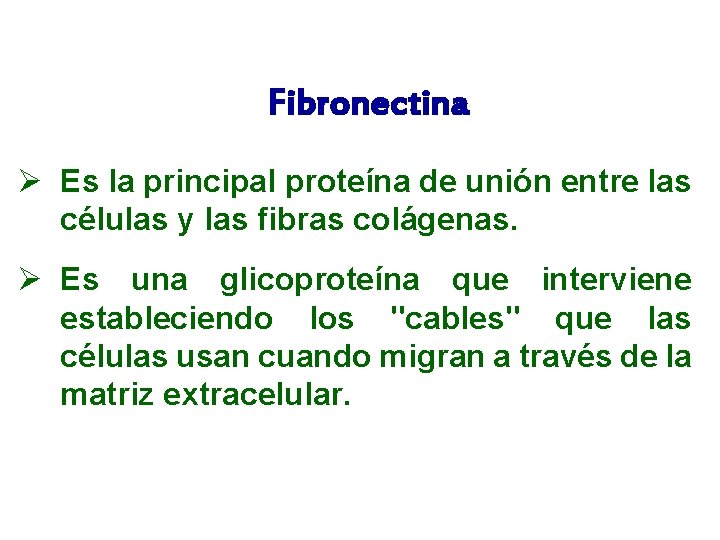 Fibronectina Ø Es la principal proteína de unión entre las células y las fibras