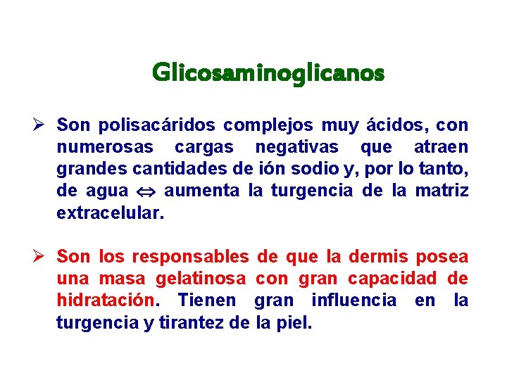 Glicosaminoglicanos Ø Son polisacáridos complejos muy ácidos, con numerosas cargas negativas que atraen grandes