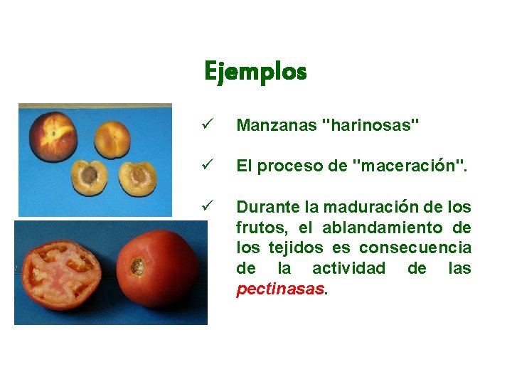 Ejemplos ü Manzanas "harinosas" ü El proceso de "maceración". ü Durante la maduración de