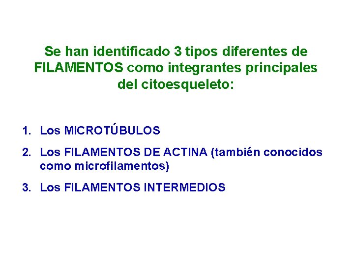 Se han identificado 3 tipos diferentes de FILAMENTOS como integrantes principales del citoesqueleto: 1.