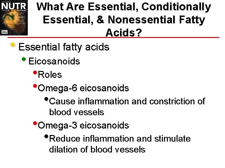 What Are Essential, Conditionally Essential, & Nonessential Fatty Acids? • Essential fatty acids • What Are Essential, Conditionally Essential, & Nonessential Fatty Acids? • Essential fatty acids •