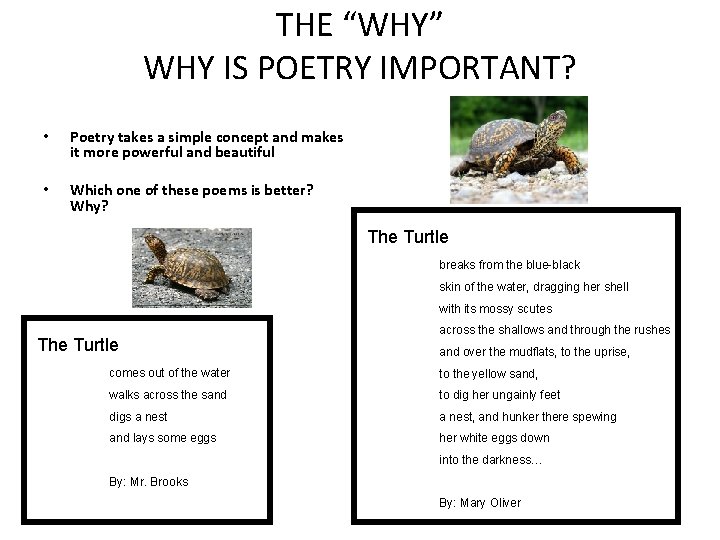 THE “WHY” WHY IS POETRY IMPORTANT? • Poetry takes a simple concept and makes