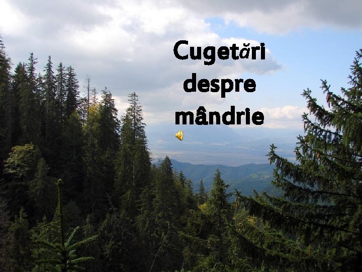 Cugetări despre mândrie 