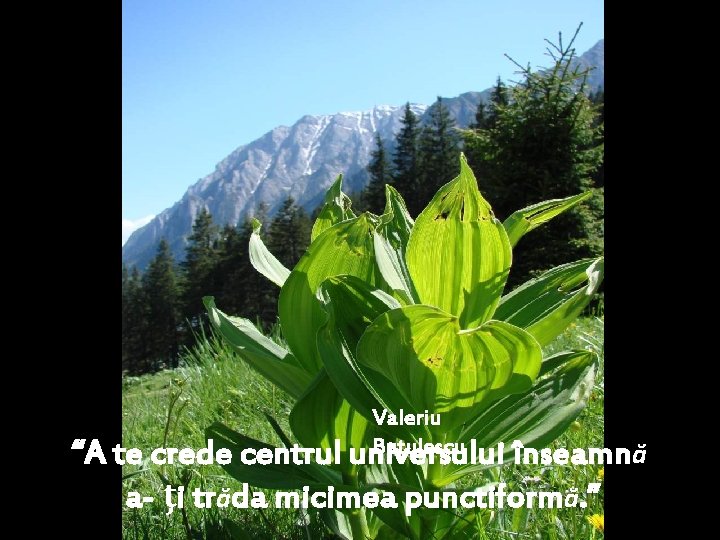 Valeriu Butulescu universului “A te crede centrul înseamnă a- ţi trăda micimea punctiformă. ”