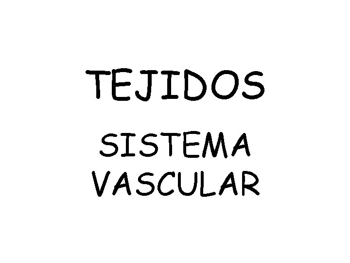 TEJIDOS SISTEMA VASCULAR 