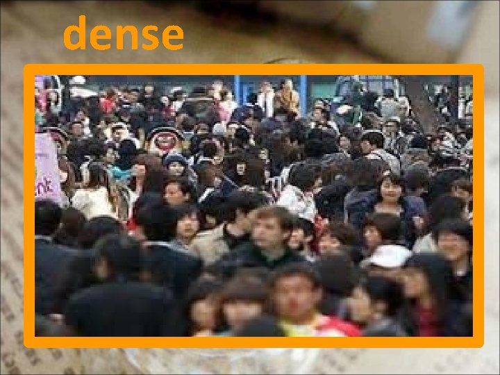 dense 