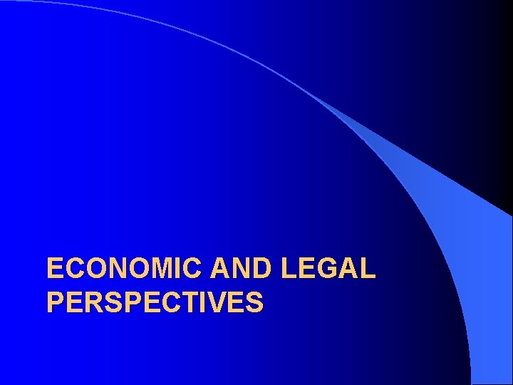 ECONOMIC AND LEGAL PERSPECTIVES 