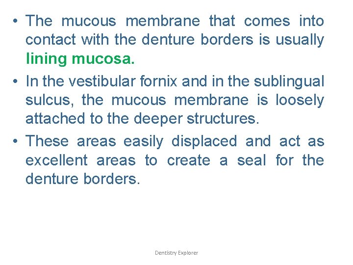  • The mucous membrane that comes into contact with the denture borders is