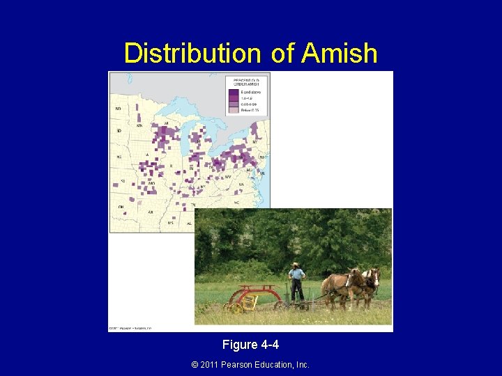 Distribution of Amish Figure 4 -4 © 2011 Pearson Education, Inc. 