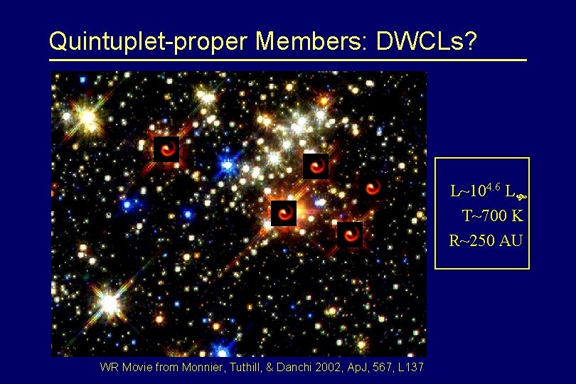 Quintuplet-proper Members: DWCLs? L~104. 6 L T~700 K R~250 AU WR Movie from Monnier,