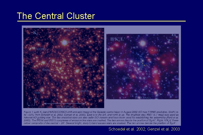 The Central Cluster Schoedel et al. 2002; Genzel et al. 2003 