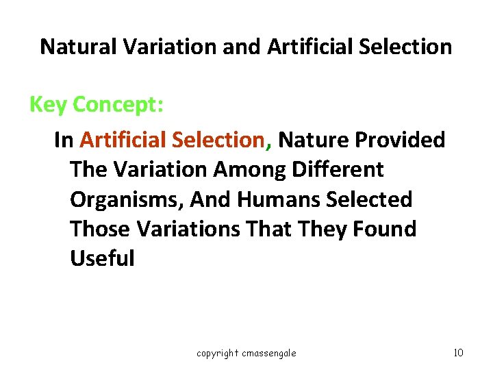 Natural Variation and Artificial Selection Key Concept: In Artificial Selection, Nature Provided The Variation