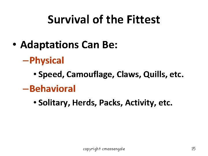 Survival of the Fittest • Adaptations Can Be: – Physical • Speed, Camouflage, Claws,