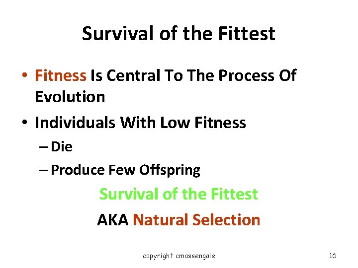 Survival of the Fittest • Fitness Is Central To The Process Of Evolution •