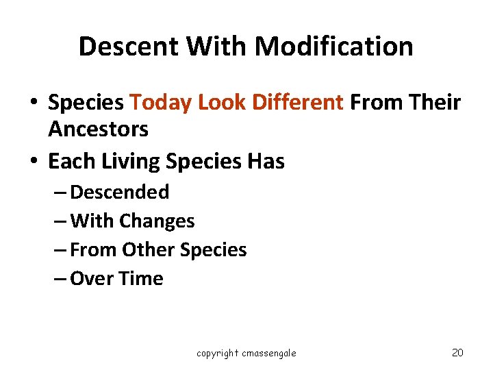 Descent With Modification • Species Today Look Different From Their Ancestors • Each Living